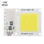 High Power 220V LED FloodlightCool/Warm White COB LED Chip IP65 Smart IC Driver Lamp