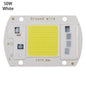 High Power 220V LED FloodlightCool/Warm White COB LED Chip IP65 Smart IC Driver Lamp