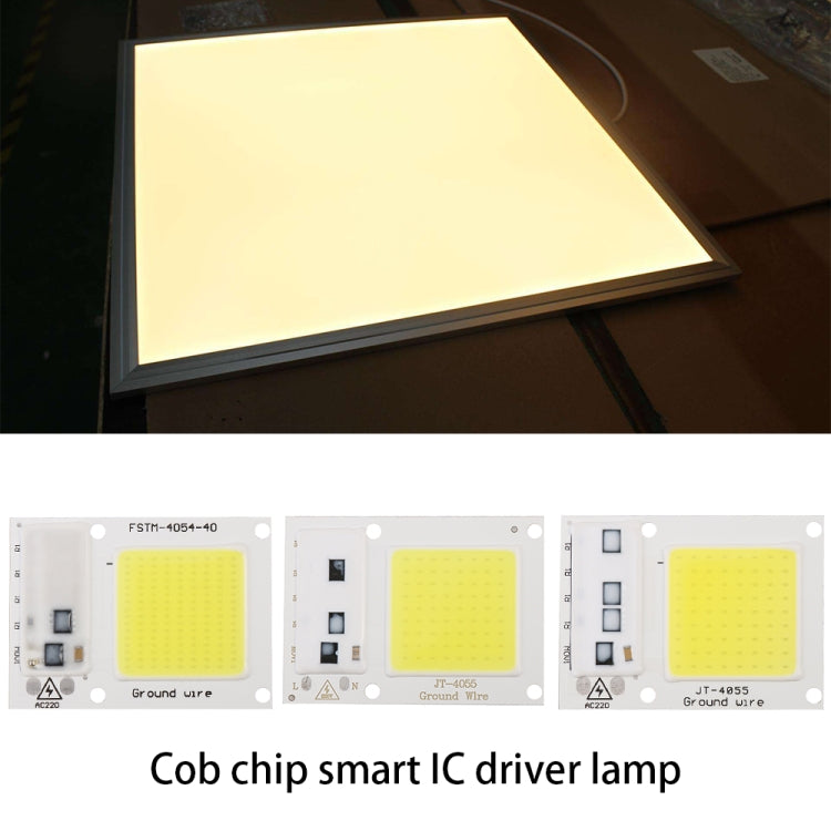 High Power 220V LED FloodlightCool/Warm White COB LED Chip IP65 Smart IC Driver Lamp