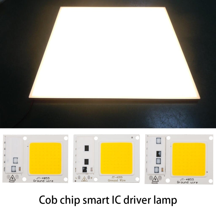 High Power 220V LED FloodlightCool/Warm White COB LED Chip IP65 Smart IC Driver Lamp