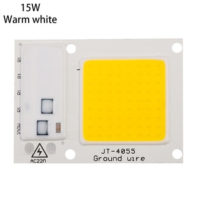 High Power 220V LED FloodlightCool/Warm White COB LED Chip IP65 Smart IC Driver Lamp