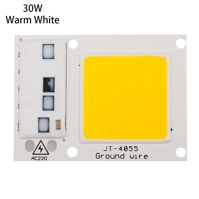 High Power 220V LED FloodlightCool/Warm White COB LED Chip IP65 Smart IC Driver Lamp