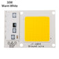 High Power 220V LED FloodlightCool/Warm White COB LED Chip IP65 Smart IC Driver Lamp