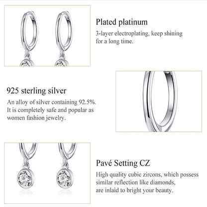 S925 Sterling Silver Platinum-plated Earrings Temperament Zircon Earrings, SCE830