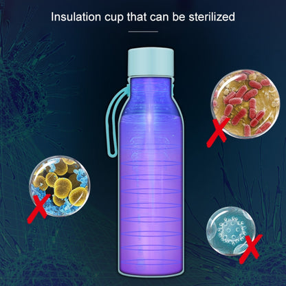 Ultraviolet Sterilization Intelligent Disinfection USB Charging Stainless Steel Vacuum Flask