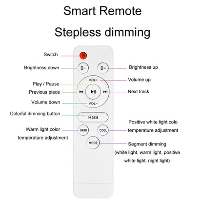 Remote Control Bluetooth LED Ceiling Lamp RGB Music Rhythm Color Changing Lamp