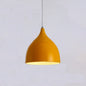 Restaurant Chandelier Simple Modern Single-head Dining Table Lamp Fashion Aisle Living Room Bar