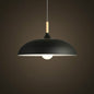 40W 40cm Minimalist Creative Personality Semi-circular Lid Chandelier Wrought Iron Single-head Restaurant Living Room Hotel Lamps