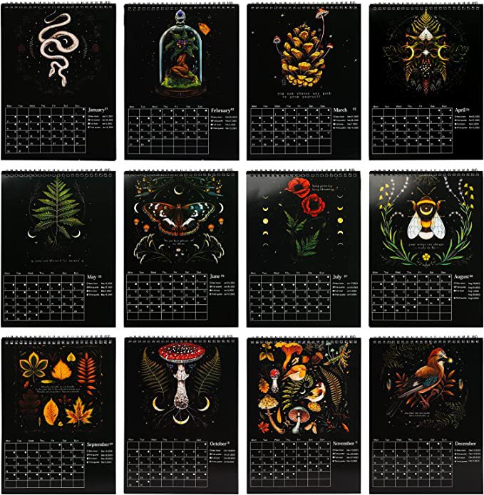 2023 Dark Forest Lunar Colorful Wall Calendar